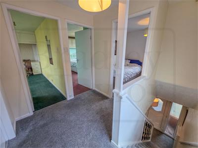 Picture 24